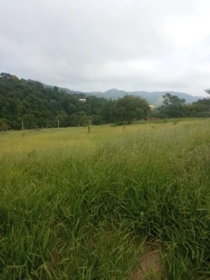 Foto 1: Terreno à venda, 1032 m² por R$ 100.000 - Rio Abaixo - Jacareí/SP