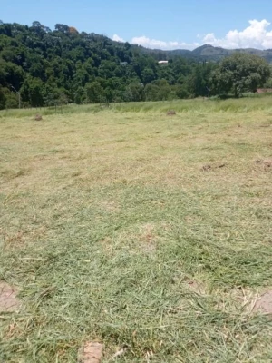 Foto 2: Terreno à venda, 1032 m² por R$ 100.000 - Rio Abaixo - Jacareí/SP