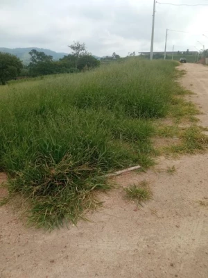 Foto 5: Terreno à venda, 1032 m² por R$ 100.000 - Rio Abaixo - Jacareí/SP