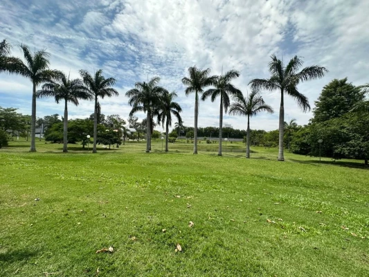 Foto 11: Terreno à venda, 300 m² por R$ 270.000,00 - Condomínio Verdes Vales - Taubaté/SP