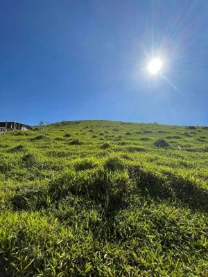 Foto 11: Terreno à venda, 3660 m² por R$ 75.000,00 - Sete Voltas - Taubaté/SP