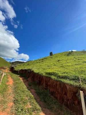 Foto 14: Terreno à venda, 3660 m² por R$ 75.000,00 - Sete Voltas - Taubaté/SP
