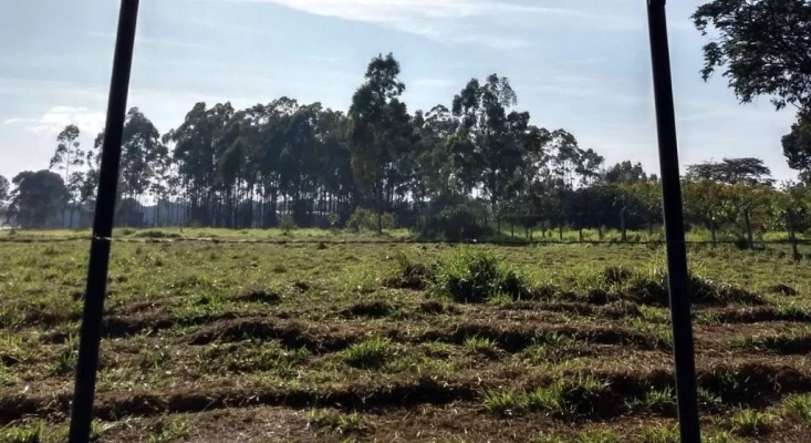 Foto 1: Área para alugar, 5600 m² por R$ 20.000,00/mês - Parque Senhor do Bonfim - Taubaté/SP