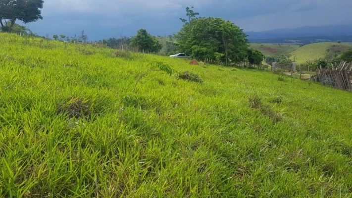 Foto 5: Terreno à venda, 1911 m² por R$ 90.000,00 - Barreiro - Taubaté/SP