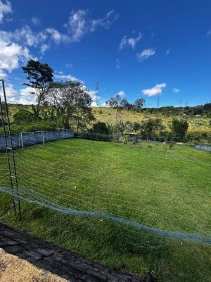 Foto 7: Chácara com 4 dormitórios à venda, 28000 m² por R$ 2.000.000,00 - Piracangaguá - Taubaté/SP