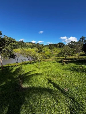 Foto 25: Chácara com 4 dormitórios à venda, 28000 m² por R$ 2.000.000,00 - Piracangaguá - Taubaté/SP