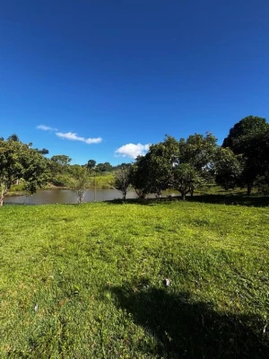 Foto 28: Chácara com 4 dormitórios à venda, 28000 m² por R$ 2.000.000,00 - Piracangaguá - Taubaté/SP