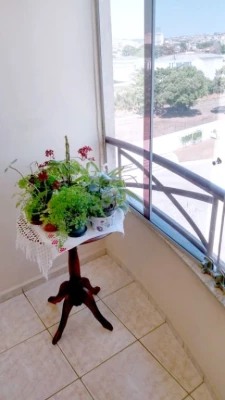Foto 38: Apartamento Edifício Versales