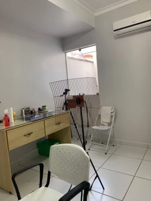 Foto 11: Sala Vila Jaboticabeira