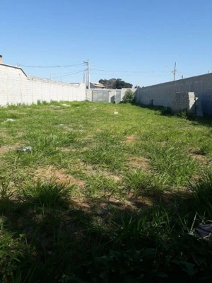 Foto 8: Terreno Piracangaguá