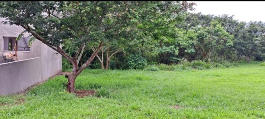 Foto 6: Terreno Bairro dos Guedes