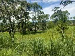 Imagem Terreno Chácaras Cataguá