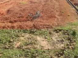 Imagem Terreno Condomínio Cataguá Way Norte