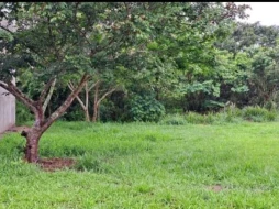 Imagem Terreno Bairro dos Guedes