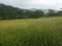 Imagem Terreno à venda, 1032 m² por R$ 100.000 - Rio Abaixo - Jacareí/SP